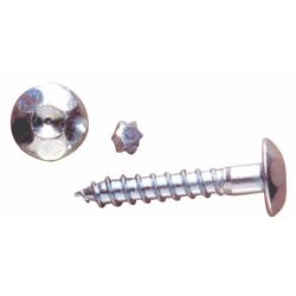 AVL TORNILLO INVIOLABLE ZINCADO 7 x 70